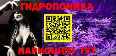 шишки Нарткала