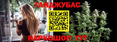 трава Новозыбков