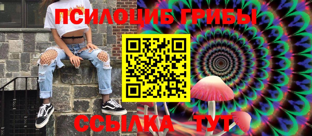 где купить наркоту  Вход с VPN  Рубцовск  Галлюциногенные грибы GOLDEN TEACHER 